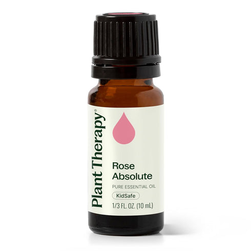 Plant Therapy Rose Absolute Essential Oil, 100% Pure, 10 mL (1/3 oz), Natural Aromatherapy
