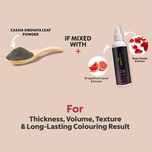 Mina ibrow Hair Color | Natural Spot Coloring Hair Tinting Powder, Water and Smudge Proof, No Ammonia, No Lead, Black
