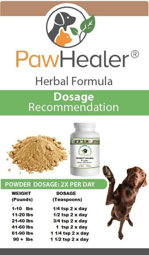 Trachea Support Dog Cough Remedy for Loud, Honking Cough - 50 Grams Powder