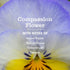Set, (12.5 Oz), (16 Oz) (16 Oz) Mrs. MEYER'S CLEAN DAY Kitchen Basics Compassion Flower Scent Cleaning Supplies