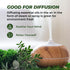 Essential Oils Set (Eucalyptus, Lavender, Lemongrass, Peppermint, Tea Tree, Orange) for Diffuser and Skin
