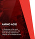 Protocol L-Glutamine 5g Powder - Immune Support, Gut & Brain Health, 1 lb, 91 Servings