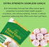 RIOWEGO Immune Non-GMO,2 Wellness-300 Count Aged Garlic Extract Softgels,Odorless Allium Sativum Antioxidant Supplement