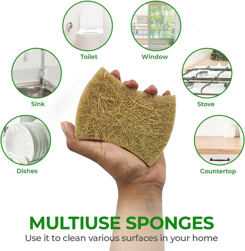 Biodegradable Natural Kitchen Sponge - Pack of 12 Compostable Cellulose and Coconut Walnut Scrubber Sponges