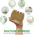 Biodegradable Natural Kitchen Sponge - Pack of 12 Compostable Cellulose and Coconut Walnut Scrubber Sponges