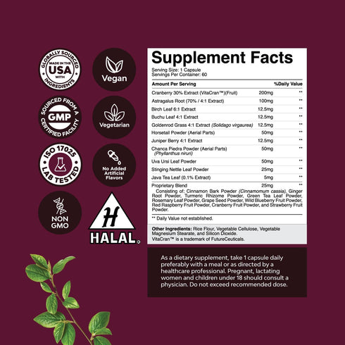 Kidney Support Cranberry Pills for Women and Men - High Strength Detox & Repair with Stinging Nettle, Uva Ursi,
