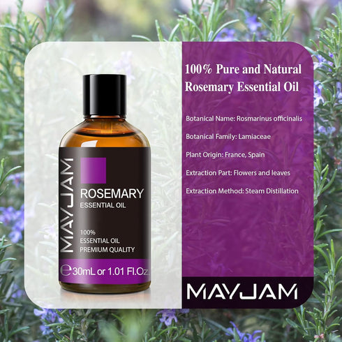 MAYJAM Premium Rosemary Essential Oil 30ML/1.01FL.OZ with Glass Dropper, Great for Aromatherapy Diffuser and Candle