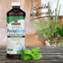 Nature's Answer PerioWash Alcohol-Free Mouthwash Cool Mint - 16 fl oz | Fluoride Free Natural Breath Freshener