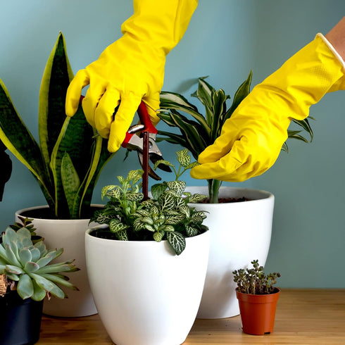 Rubber Kitchen Dishwashing Gloves - 4 Pairs Colorful Reusable Household Cleaning Gloves for Dishes
