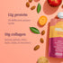 Reup Collagen Protein Smoothie, 12g Protein, 10g Collagen, Dairy Free, Ready to Drink, 8 Count