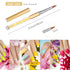 Honoson 5 Pieces Nail Art Brush Set - Acrylic Nail Brush for 3D Flower, DIY Salon Manicure Pen, Sizes 4, 6, 8, 10, 12