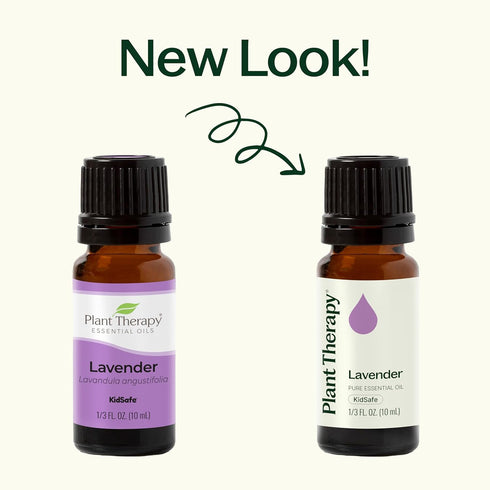 Plant Therapy Lavender Essential Oil, 100% Pure, 10 mL (1/3 oz) for Aromatherapy and Body Care