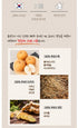 Premium Sugar-Free Korean Pear, Ginger, Balloon Flower Extract Liquid Concentrate Sticks - 1 Box (10pcs)