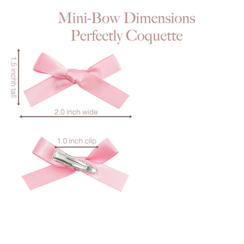 Mini Ribbon Bow Hair Clips for Women and Girls, 24 PCS, Spring Summer Coquette Barette Hair Clip Accessories