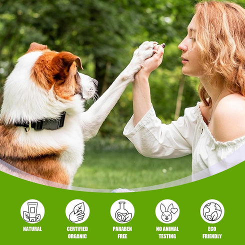 Jorzer Dog Pregnancy Test Kit at Home, Fast and Accurate Detection Dog Pregnancy Test with Buffer, Disposable Early