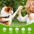 Jorzer Dog Pregnancy Test Kit at Home, Fast and Accurate Detection Dog Pregnancy Test with Buffer, Disposable Early