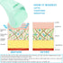 Ice Roller for Face and Body Massage, Skin Care Tool for Reducing Wrinkles and Puffiness, Cold Therapy (Green)