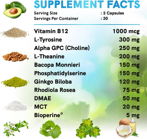 11-in-1 Nootropic Brain Supplements: Memory & Focus with Ginkgo Biloba, L Theanine, Bioperine, 60ct