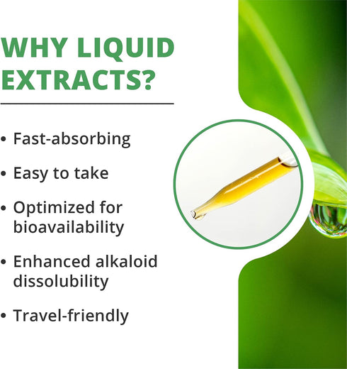 NutraMedix Sparga Tincture - Antioxidant-Rich Asparagus Extract for Cleansing and Detox Support - Mix Liquid Drops with