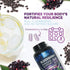 Elderberry Immune Support Capsules - 10:1 Extract, 60 Count, Vegan, Sugar & Gluten Free, Natural Sambucus Black
