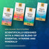 Solgar One Daily Men's Multivitamin Whole Body Support Supplement, Highly Absorbable Delayed Release Capsules - 60