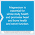Life Extension Magnesium Supplement 100 mg, Citrate for Heart, Bone Health, Immune Support, 100 Veg Capsules