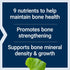 Life Extension Dr. Strum's Intensive Bone Formula | Cissus quadrangularis, Calcium, Vitamin D3, K2, Magnesium, Zinc,