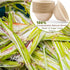 Ocmoiy Bulk 150Pk. 8 OZ Paper Bowls, Disposable Heavy Duty Compostable Food Bowls, Microwave Safe