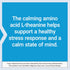Life Extension L-Theanine, 100 mg, 60 Vegetarian Capsules, Supports Calming Effect