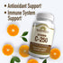 VIT C TABS 250 MG WMILL 100