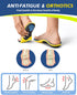 TANSTC Plantar Fasciitis Insoles for Men, Medium Arch Support Shoe Inserts for Women, Pain Relief Orthotics (XL)