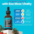 Immunity 60mL) Ashwagandha & Turmeric Liquid Drops - Vitamin C, Sea Moss, Apple Cider Vinegar, Bladderwrack - Vegan