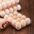 Merkaunis 120 12 Count 3x4 Pcs Plastic Egg Cartons Cheap Bulk, Grids Clear Empty Egg Cartons, Reusable Egg Trays Clear