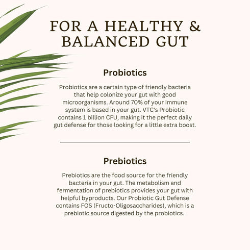 VitaTradingCo. Probiotic Gut Defense, 1 Billion CFU with Whole Food Base, 90 Capsules for Gut Health