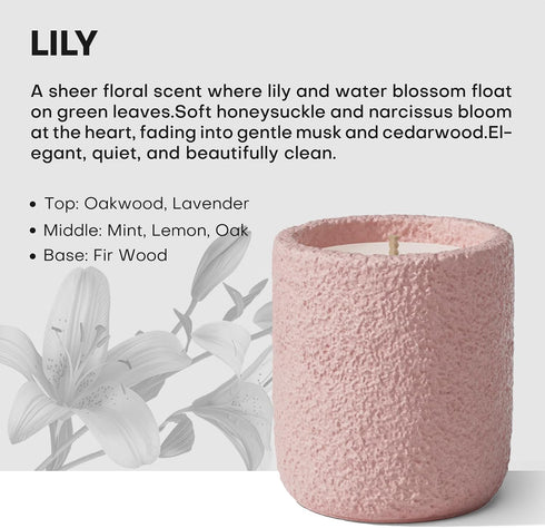 JueOne Scented Candles for Home, Natural Soy Wax Candle Gift, Non-Toxic Cement Jar Candles, Luxury Aromatherapy
