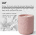 JueOne Scented Candles for Home, Natural Soy Wax Candle Gift, Non-Toxic Cement Jar Candles, Luxury Aromatherapy