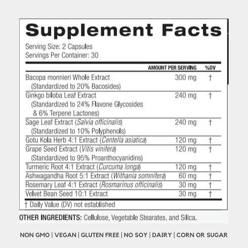 PALO FOCUS Brain Booster Natural Supplement - 60 Capsules for Memory, Focus, Learning, Attention