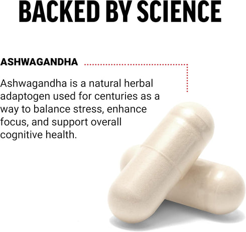 FORCE FACTOR Ashwagandha Supplements with Premium Vegan Powder, Adaptogens for Stress and Cognitive Health, 60 Capsules