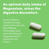 Jigsaw Health MAG SRT - Magnesium Supplement with Vitamin B6, Folate & B12, 120 Tablets