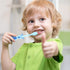 12 Pieces Toddler Toothbrush Bulk Kids Toothbrush Pack, Manual Baby Toothbrushes with Covers, Soft Bristle Animal Design