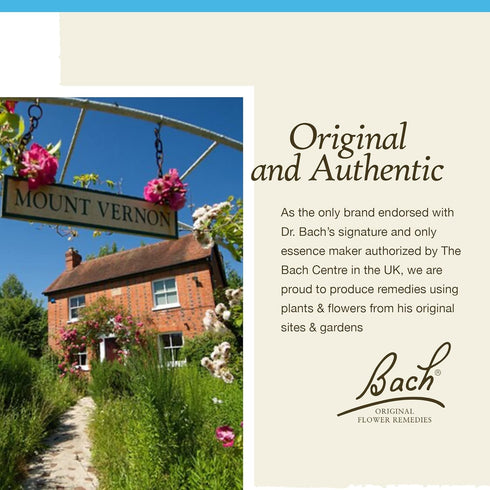 Bach Original Flower Remedies, Chicory for Unconditional Love, Natural Homeopathic Flower Essence, Vegan, 10mL Dropper