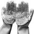 Silicone Dishwashing Gloves, Pet Grooming Rubber Scrubbing Gloves for Housework, Cars, Dogs