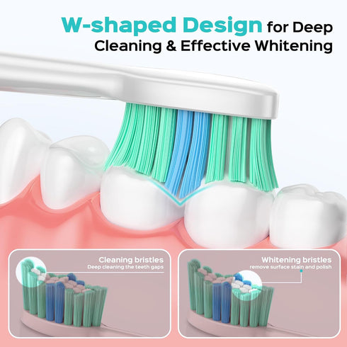Ipetboom 6 C-40 Pcs Electric Toothbrush Heads Sonic Electric Head Replacement Compatible with Toothbrush - White
