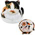 Openhaha Drawstring Travel Organizer - Cat Gift Cosmetic Pouch, Lay Flat Makeup Bag for Cat Lovers