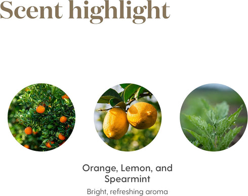 Young Living Citrus Fresh Essential Oil, 15ml Bottle, Energizing Aromatherapy, Uplifting Citrus Blend