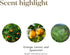 Young Living Citrus Fresh Essential Oil, 15ml Bottle, Energizing Aromatherapy, Uplifting Citrus Blend