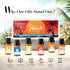 Summer Set Set 6 Summer 6x10mL JCLOUD Fragrance Oils | Hotel Diffuser Oil & Home Luxury Scents - Gift of Essential Oil