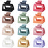 Sisiaipu 2 Inch Medium Hair Claw Clips, 12 Pcs Square Clips for Thin Hair