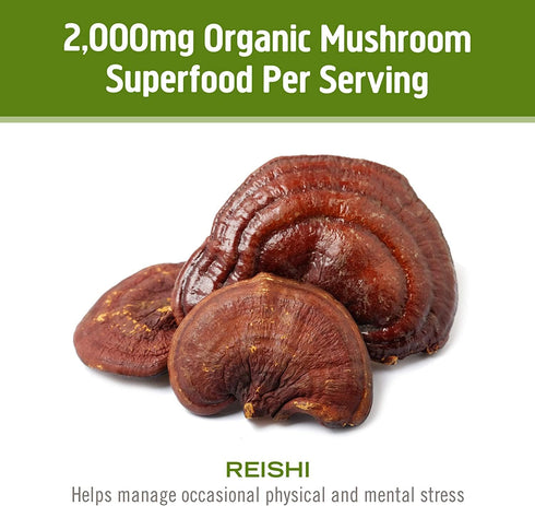 OM MUSHROOM SUPERFOOD Reishi Mushroom Capsules, 90 Count, Organic Adaptogen for Stress Relief and Immune Health