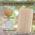 Upgrade Natural Loofah Kitchen Sponges 6 Pack, eco Friendly sponges for Dishes ,Reusable Kitchen sponges and scrubbers,luffa sponges Dish sponges for Washing Dishes dishwashing sponges by WANGDA.G
